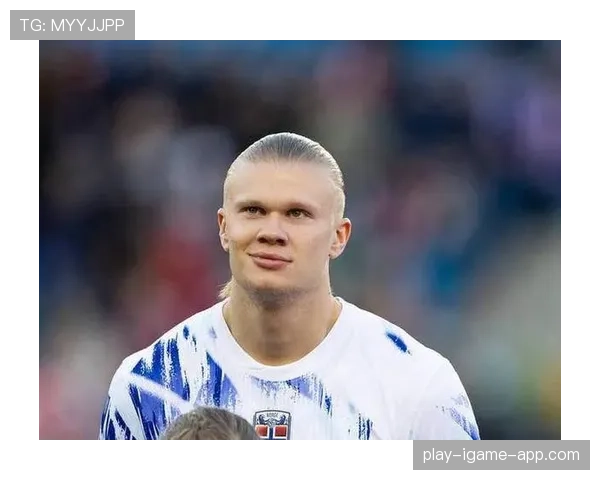 哈兰德效率与体系贡献是否被高估