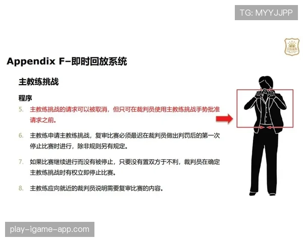 篮球技术犯规的判罚标准与具体执行方法讲解